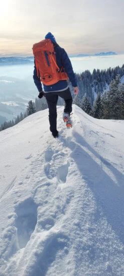 Ortovox Peak 35 - Tourenrucksack -Deuter Geschaft ortovox peak 35 tourenrucksack 479eeaaef0ad34f8d4b20e458b7c94a1 1