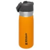Stanley Iceflow Flip Straw Water Bottle - Isolierflasche -Deuter Geschaft stanley iceflow flip straw water bottle isolierflasche